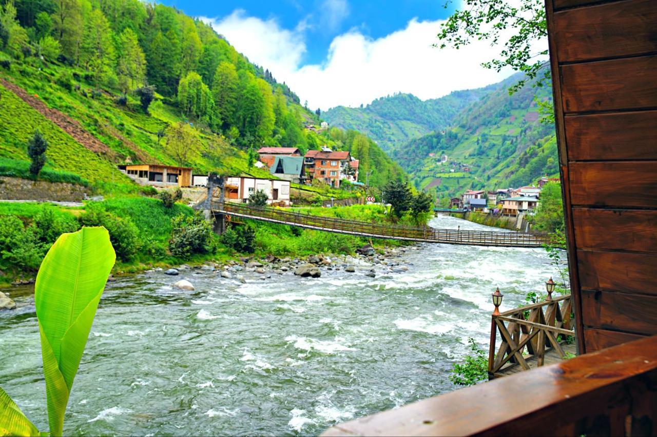 Tabiat Bungalows Otel Çamlıhemşin Extérieur photo